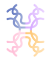 TTR四量体