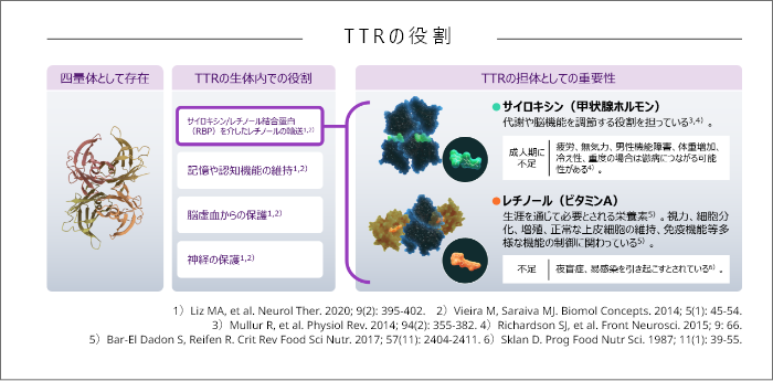 TTRの役割